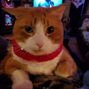 Meet your Posher, Mildred